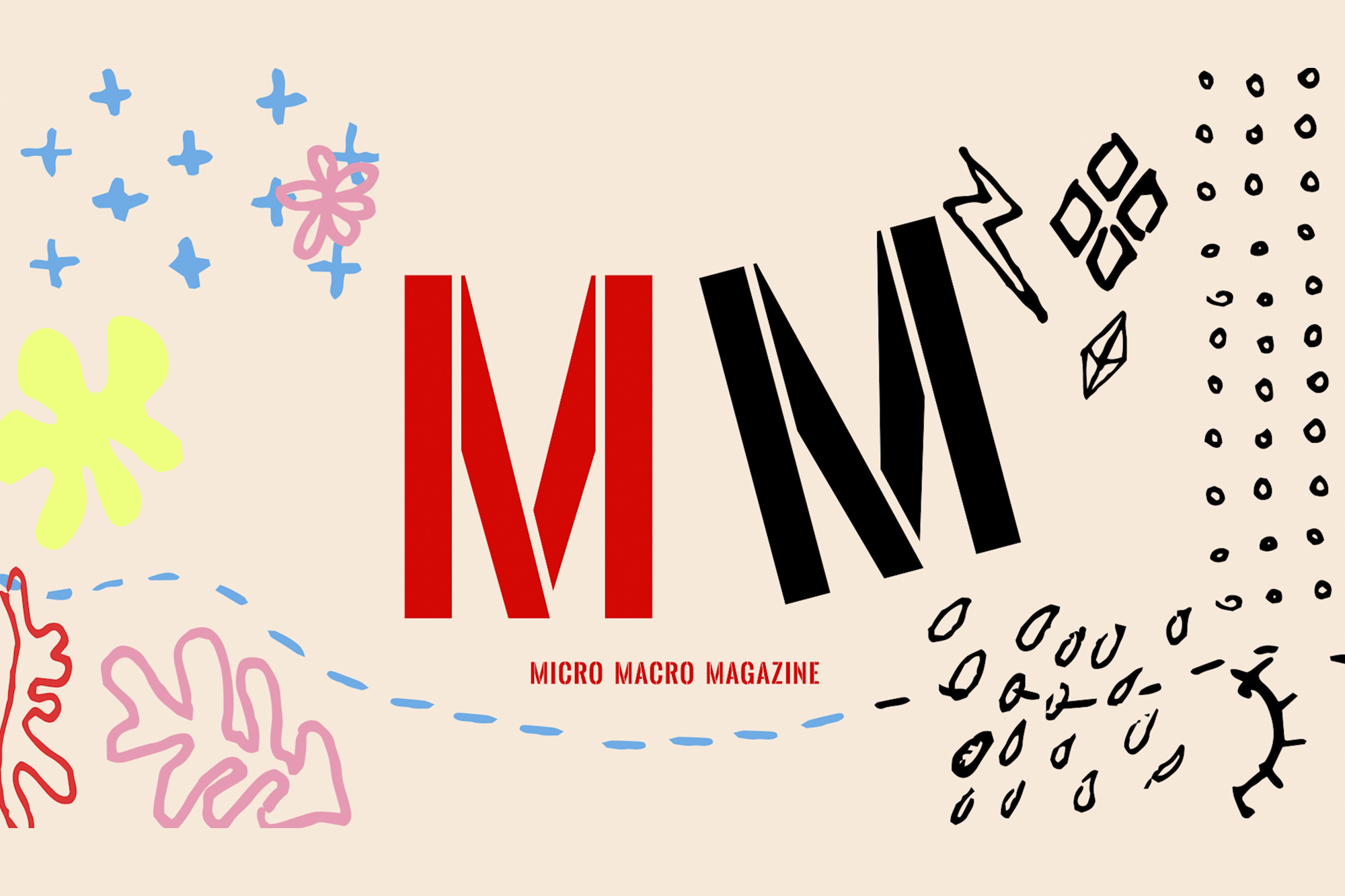 Micro Macro Magazine Internship